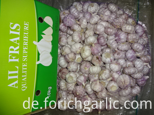 New Garlic